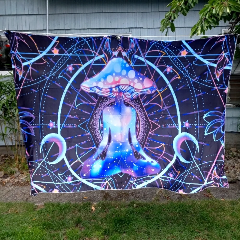 COPY - 4 tapestry lot